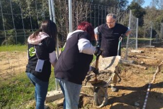 Professionals realiztant tasques d'arranjaments per la creació d'un hjort ecològic.