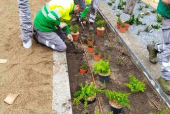 Un equip de jardiners fent plantació d'espècies per una àrea enjardinada
