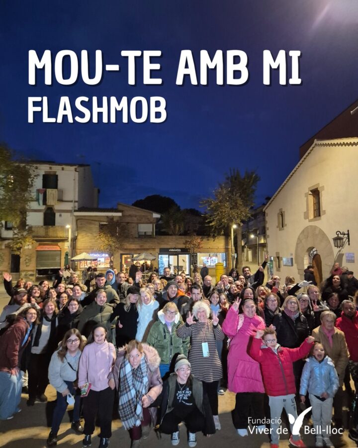 Resum FlashMob 3D 2025