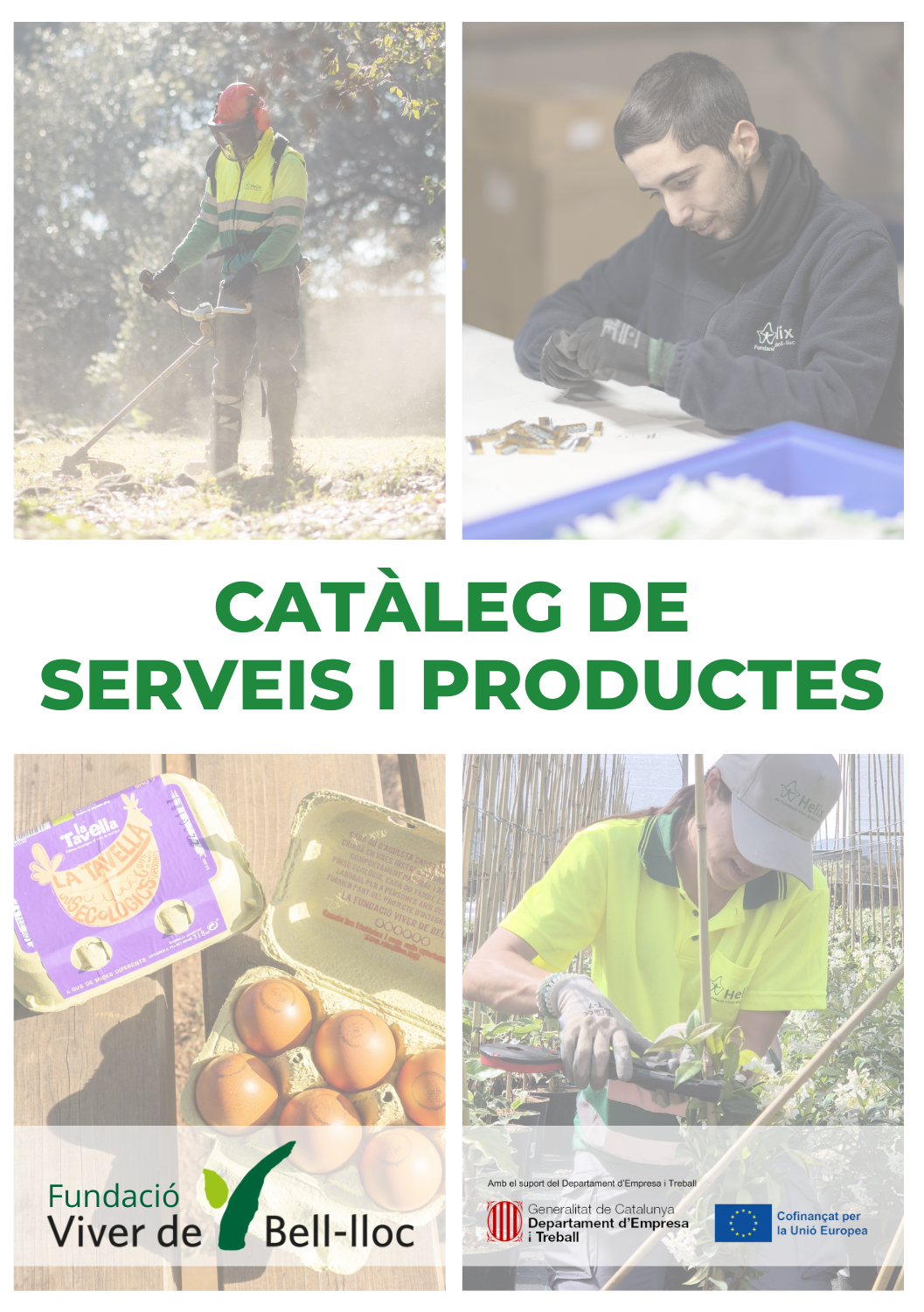 Catàleg de serveis i productes de la Fundació Viver de Bell-lloc