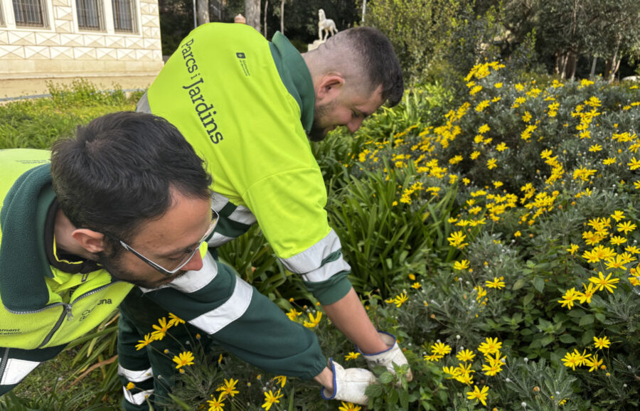 Jardiners realitzant gestió d’espais verds inclusiva a Barcelona